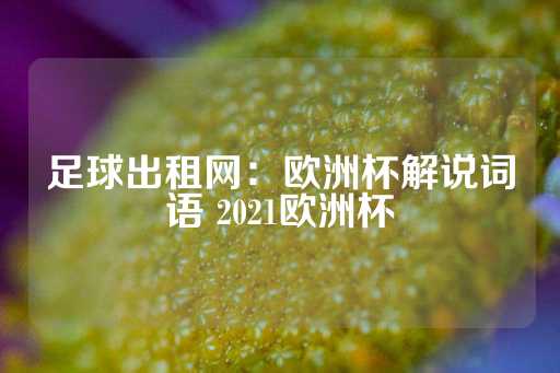 足球出租网：欧洲杯解说词语 2021欧洲杯