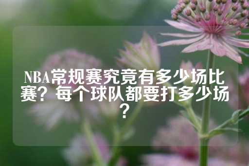 NBA常规赛究竟有多少场比赛？每个球队都要打多少场？-第1张图片-皇冠信用盘出租