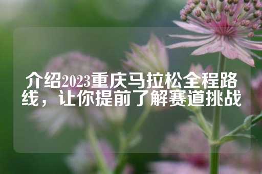 介绍2023重庆马拉松全程路线，让你提前了解赛道挑战