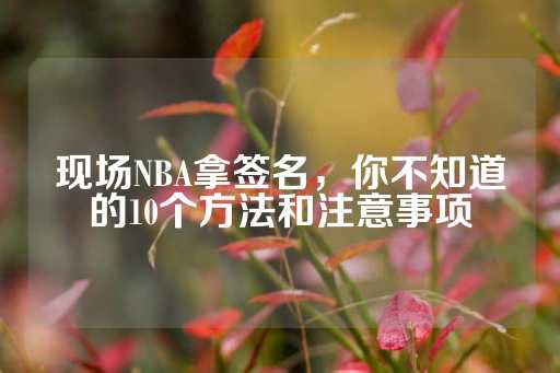 现场NBA拿签名，你不知道的10个方法和注意事项-第1张图片-皇冠信用盘出租