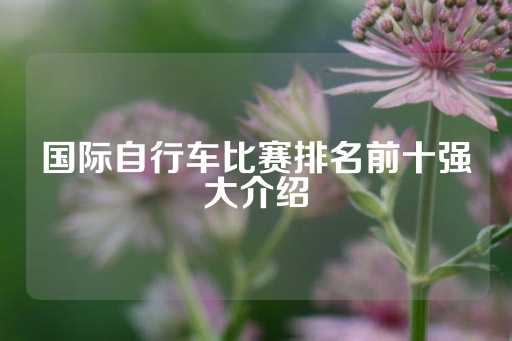 国际自行车比赛排名前十强大介绍