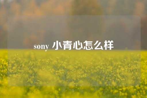 sony 小青心怎么样