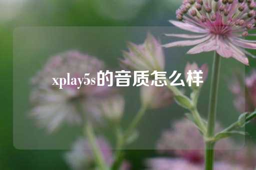 xplay5s的音质怎么样