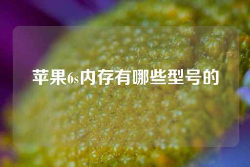 苹果6s内存有哪些型号的-第1张图片-皇冠信用盘出租