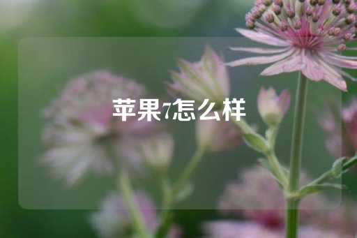 苹果7怎么样-第1张图片-皇冠信用盘出租