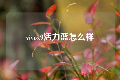 vivox9活力蓝怎么样